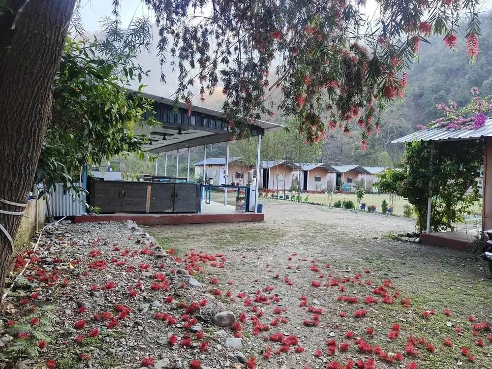 Himalayan Ganga Retreat – riverside camp in Rishikesh, view from the Ganga at Rattapani